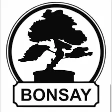 بن سای
